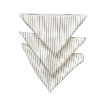 Polyester Anti Static Wipes